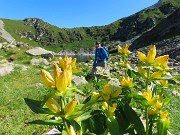 CORNO STELLA , panorami, monti, laghi, fiori, stambecchi-9lu25  - FOTOGALLERY